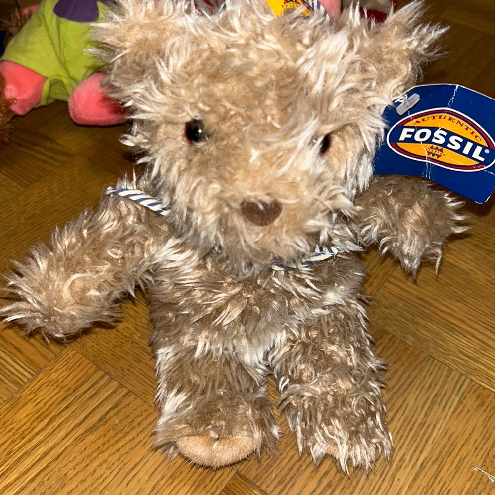 Fossil Teddy Bear